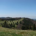 IMG_9165