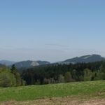IMG_9181