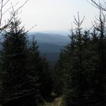IMG_9238