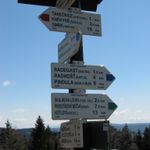 IMG_9311