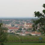 IMG_9439