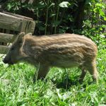 21-05-2011_Cyklo_Karpaty