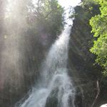 IMG_0195
