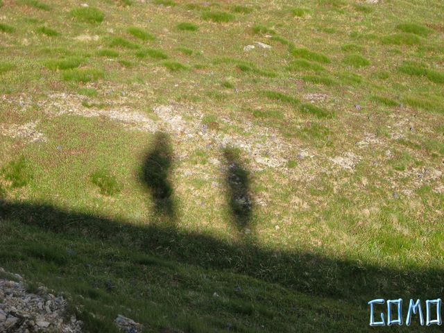 IMG_0285