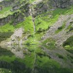 IMG_0379