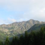 IMG_0452