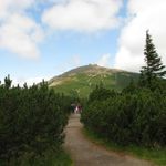 IMG_0835