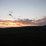 IMG_1209