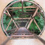 IMG_1241