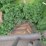 IMG_1250