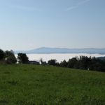 IMG_1335