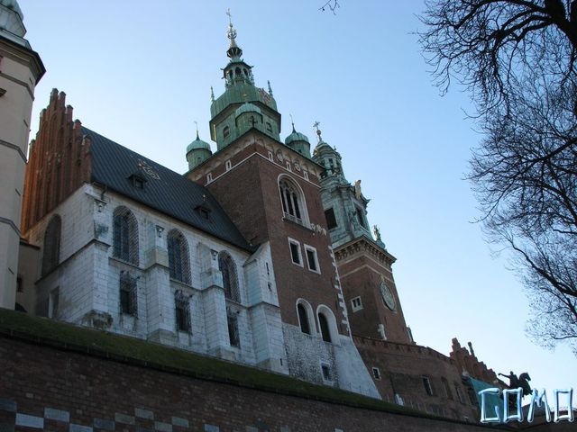 IMG_3350