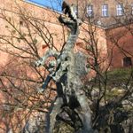 11.12.2011 Krakow