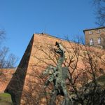 IMG_3467