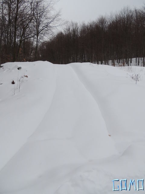 DSCN0304