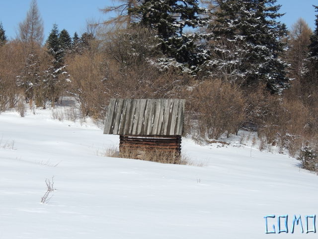DSCN0879