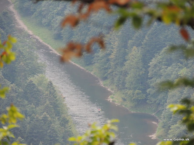 DSCN5991