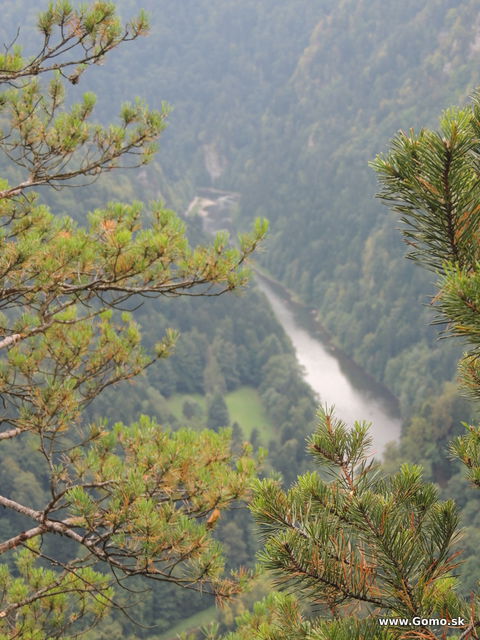 DSCN6011