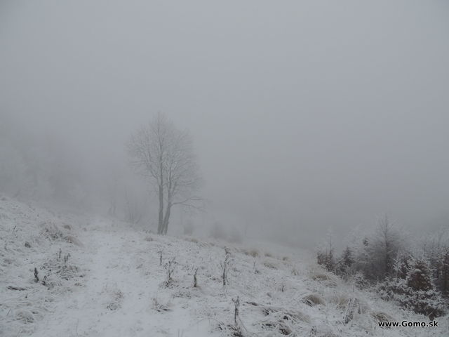 DSCN7745