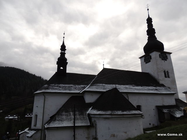 DSCN7981