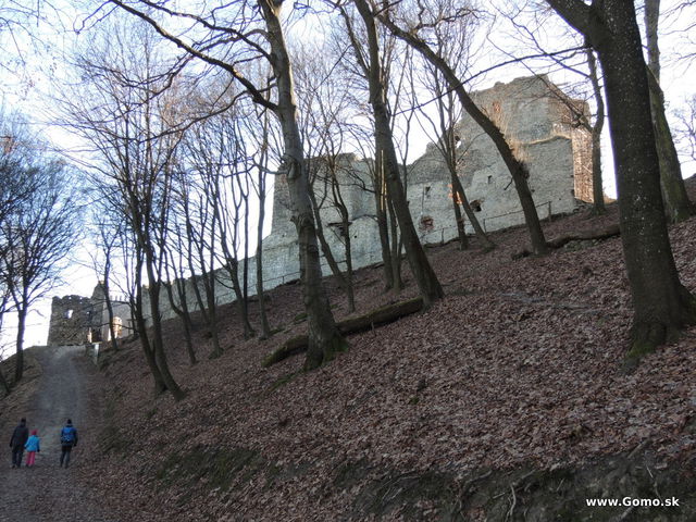 DSCN9498