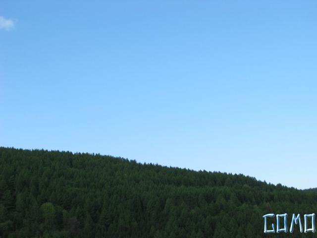 STB_9101