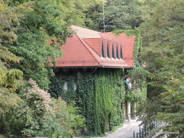 DSCN5068
