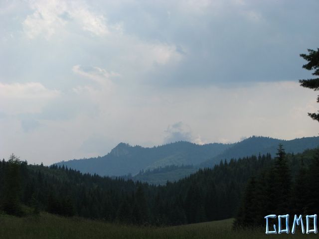 IMG_1448